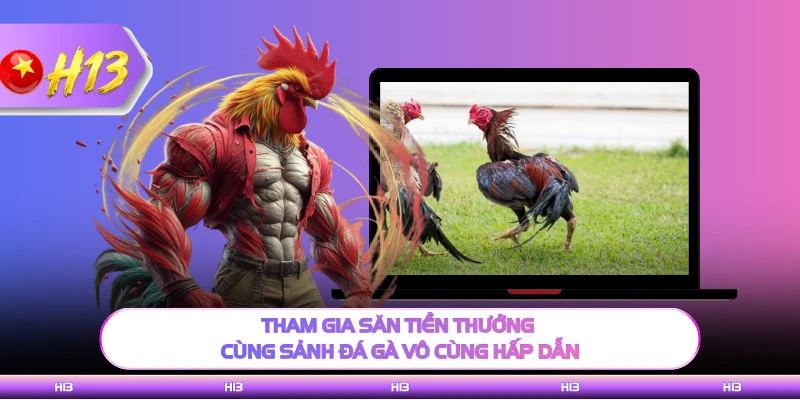 Tham gia săn tiền thưởng cùng sảnh đá gà vô cùng hấp dẫn