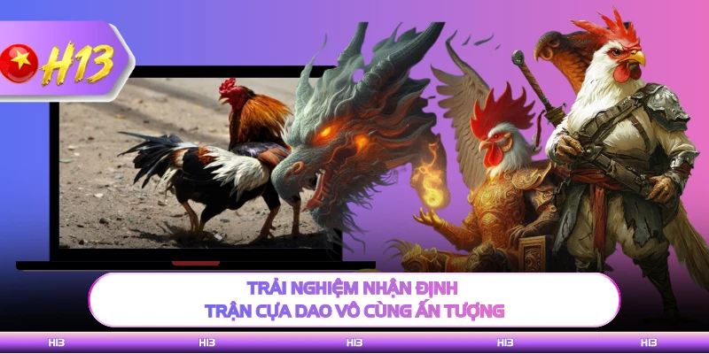 Trải nghiệm nhận định trận cựa dao vô cùng ấn tượng